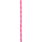 Edelrid Performance Static 10.5 mm Statikseil  Statikseile pink Größe 50M Alpi