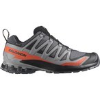 Salomon XA Pro 3D V9 GTX  Herren  Trailrunningschuhe grau Größe 45  Trailrunni