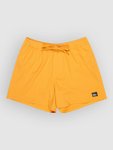 Quiksilver Everyday Flex Volley 15 Shorts mineral yellow Gr. M