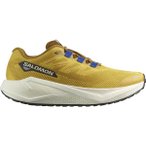 SALOMON Herren Laufschuhe SHOES AERO BLAZE 3 GRVL Spicym/Vanila/Na, Größe 49 �