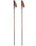Dynafit - Trailstöcke &ndash; Unisex &ndash; Alpine Pole - Alpine Pole Dawn  - 