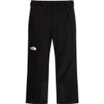 The North Face Descendit Herren Skihose ( Schwarz M)