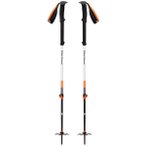 BLACK DIAMOND Tourenskistöcke EXPEDITION 2 SKI POLES, Größe 145 in Weiß