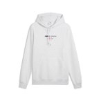 PUMA Herren Freizeit / Mode Sommer GJ Kapuzensweats Kapuzensweats lg.Arm He/Uni 
