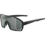ALPINA Herren Brille BONFIRE Q-LITE, Größe ONE SIZE in Grau