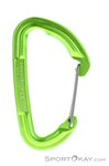 Salewa Hot G3 Wire Schnappkarabiner-Grün-One Size