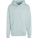 ADIDAS Herren Kapuzensweat ALL SZN French Terry, Größe L in Grün