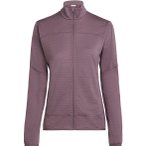 Icebreaker Merino 300 RealFleece Descender Damen Fleecejacke ( Grau L)