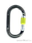 DMM Ultra O Screwgate Schraubkarabiner-Grün-One Size