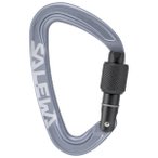 Salewa - Ortles Screw Carabiner - Schraubkarabiner grau