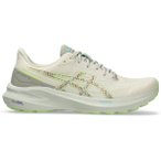 ASICS Herren Laufschuhe GT-1000 13 TR, Größe 42 in Silber