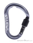 Salewa Ortles M HMS-Karabiner-Grau-One Size