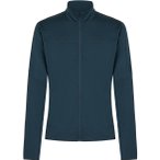 Icebreaker Merino 300 RealFleece Descender Herren Fleecejacke ( Blau M)