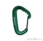 Black Diamond MiniWire Schnappkarabiner-Grün-One Size
