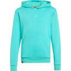 adidas Terrex Minecraft Mt  Kinder  Hoodies gruen Größe 116 Lifestyle  Hautfre