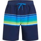 FIREFLY Herren Badeshorts Mario M, Größe S in Blau