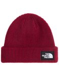 The North Face - Gefütterte Mütze &ndash; Unisex &ndash; Salty Lined Beanie - 
