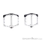 Crankbrothers Stamp Evo Flat Pedale-Silber-L