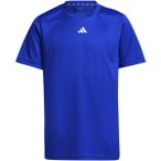 ADIDAS Kinder Shirt Train Essentials Logo Regular Fit Kids, Größe 116 in Blau