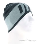 Dynafit Light Logo Mütze-Blau-One Size