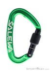 Salewa Ortles Screw Schraubkarabiner-Grün-One Size