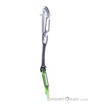 Black Diamond LiteWire Quickdraw 12cm Expressschlinge-Grün-12