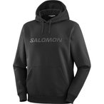 Salomon Hoodie Herren