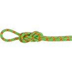 Mammut 8.0 Alpine Core Protect Dry Kletterseil (Größe 50M, gruen)