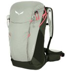 Salewa - Alp Trainer 25 - Wanderrucksack grau