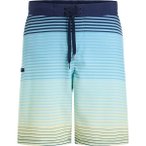FIREFLY Herren Badeshorts He.-Badeshorts Otto II M Shade Stripe, Größe XL in S