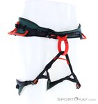 Wild Country Session Herren Klettergurt-Grün-L