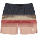BARTS Herren Badeshorts Amadouc Shorts, Größe XL in Braun
