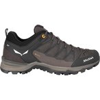 Salewa MTN Trainer Lite GTX  Herren  Zustiegsschuhe braun Größe 45 Trekking Wa
