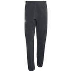 adidas Terrex - Xperior Light Pants - Trekkinghose Gr M - Regular grau