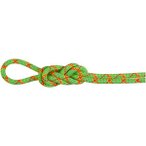 MAMMUT Bergseil 8.0 Alpine Core Protect Dry Rope 60m, Größe 60 in Grün