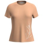 Icebreaker - Women's Merino Core S/S Tee Panax - Funktionsshirt Gr XS beige