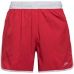 SPEEDO Solid Logo Volley 16" Badehose Herren