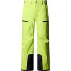 THE NORTH FACE Herren Hose M CHAKAL PANT, Größe L in Grün