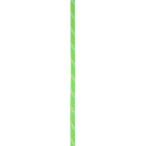 Edelrid Static Low Stretch 11.0mm Statikseil (Größe 60M, gruen)