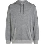 Icebreaker Merino 150 Drift Herren Hoodie ( Grau S)