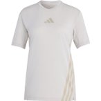 adidas Terrex Xperior Climacool+ Damen Laufshirt ( Beige M)