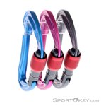 Ocun Raven Screw Karabiner-Set-Mehrfarbig-One Size
