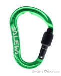 Salewa Ortles M HMS-Karabiner-Grün-One Size