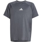 ADIDAS Kinder Shirt All Sports Favorite Kids, Größe 176 in Grau