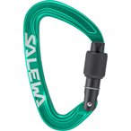 Salewa Ortles Screw Karabiner  Karabiner gruen Größe One Size Alpinklettern