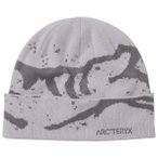 Arc'teryx - Grotto Toque - Mütze Gr One Size grau