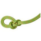 Mammut - 9.8 Crag Recycled Classic Rope - Einfachseil Länge 50 m grün