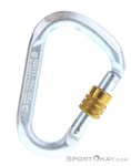 Edelrid Steel Screw HMS-Karabiner-Grau-One Size