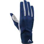 LEKI Herren Handschuhe Guide Premium, Größe 7 in Schwarz