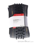 Bontrager Galbraith RSL Se TLR 29x2,5'' Reifen-Schwarz-29x2,50